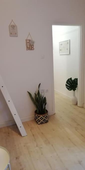 Heart Of Athens II 25Sqm Apartment Ngoại thất bức ảnh